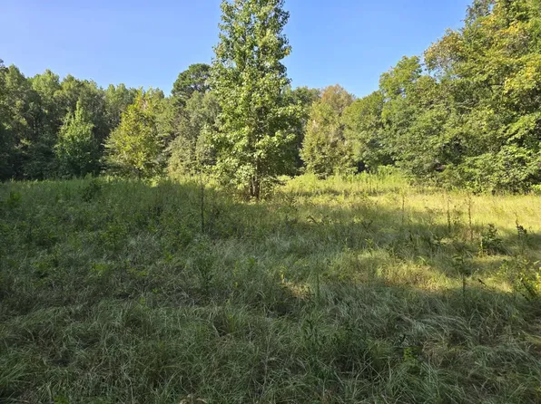 0 Stacy Rd, Converse, LA 71419