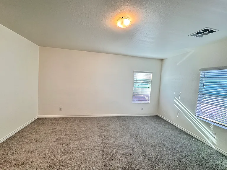 2711 Lindsey Springs St — Photo 28