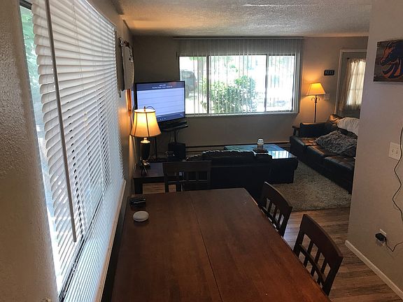 New window blinds.