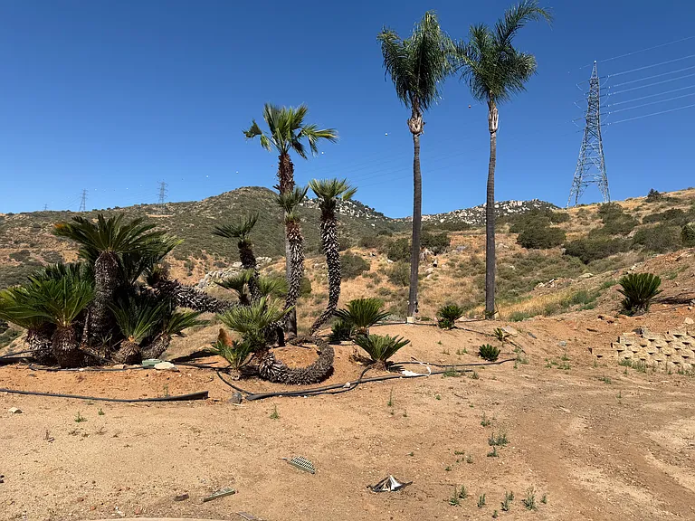 11296 Marguerite Canyon Rd — Photo 13