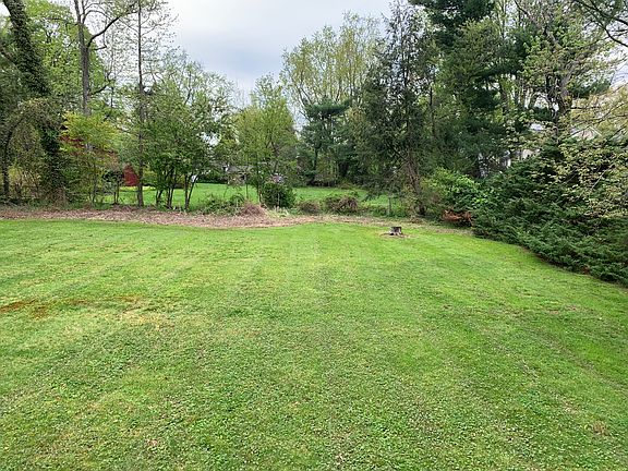 Big backyard (Lot .47 acre)