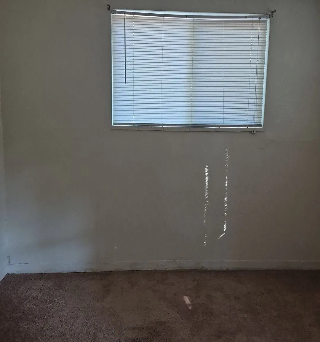 2 bed, 700 sqft, $1,395 — Photo 4