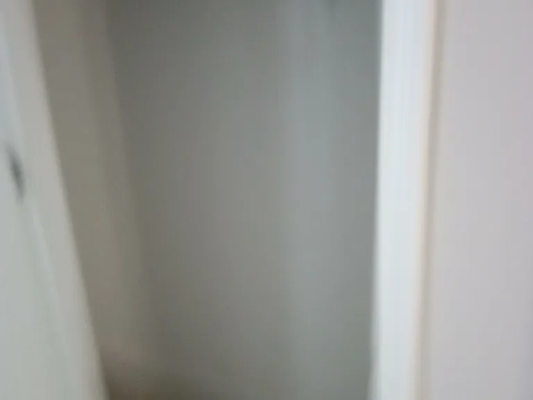 986 May Apple Dr — Photo 11