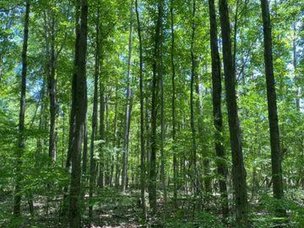 Underwood Rd, Caro, MI 48723