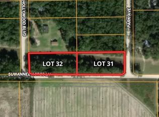 LOT 31 NE Suwannee Acres Ln #31, Mayo, FL 32066