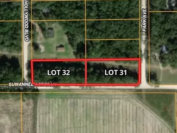 LOT 31 NE Suwannee Acres Ln #31, Mayo, FL 32066