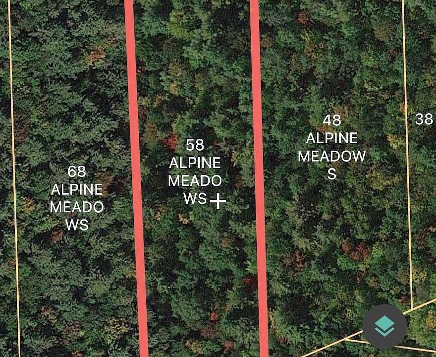 58 ALPINE MEADOWS Road, Porter Corners, NY 12859 Zillow