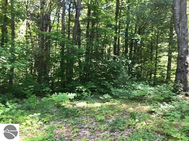E Shore Dr NE Lot 3 photo 1
