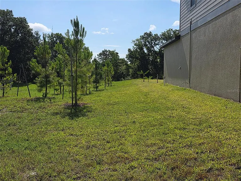 12588 Timber Moss Ln — Photo 18