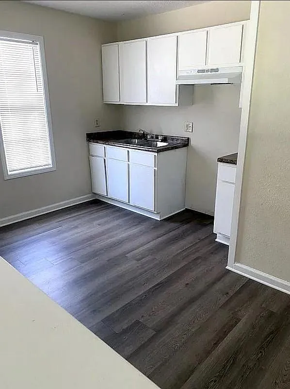 2 bed, 700 sqft, $600 — Photo 3