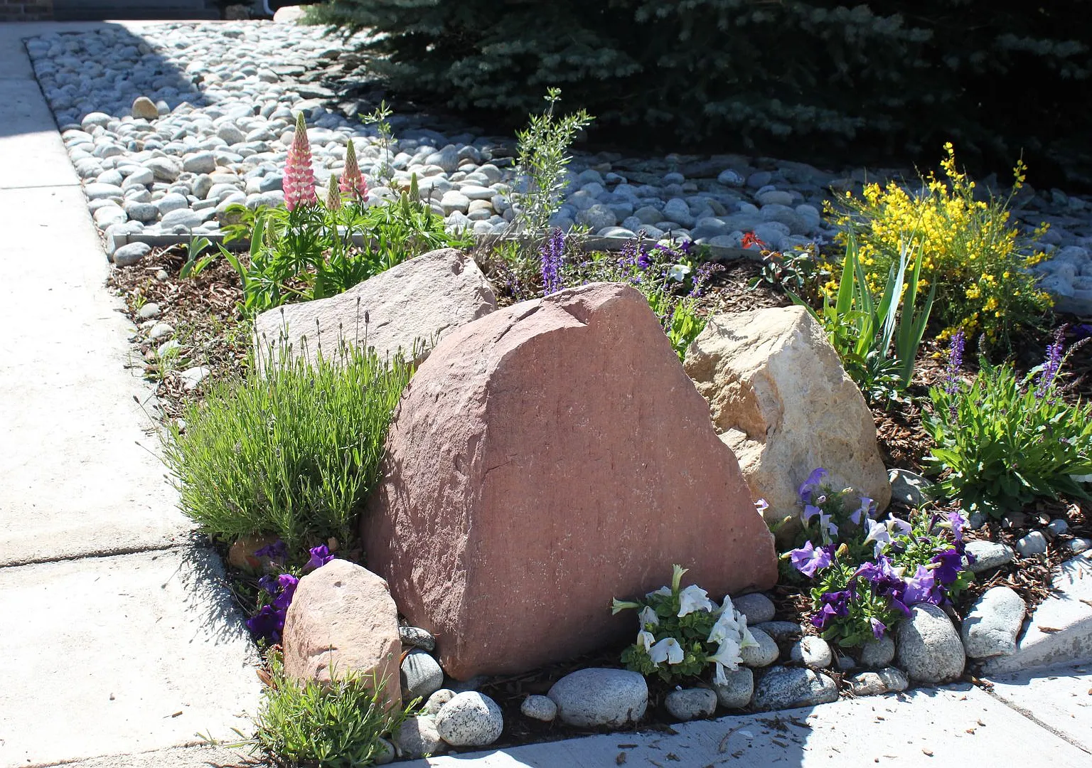 7665 Chancellor Drive- — Photo 2