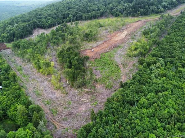 15 Crabbe Mountain Rd, Bright, NB E6E 1E5