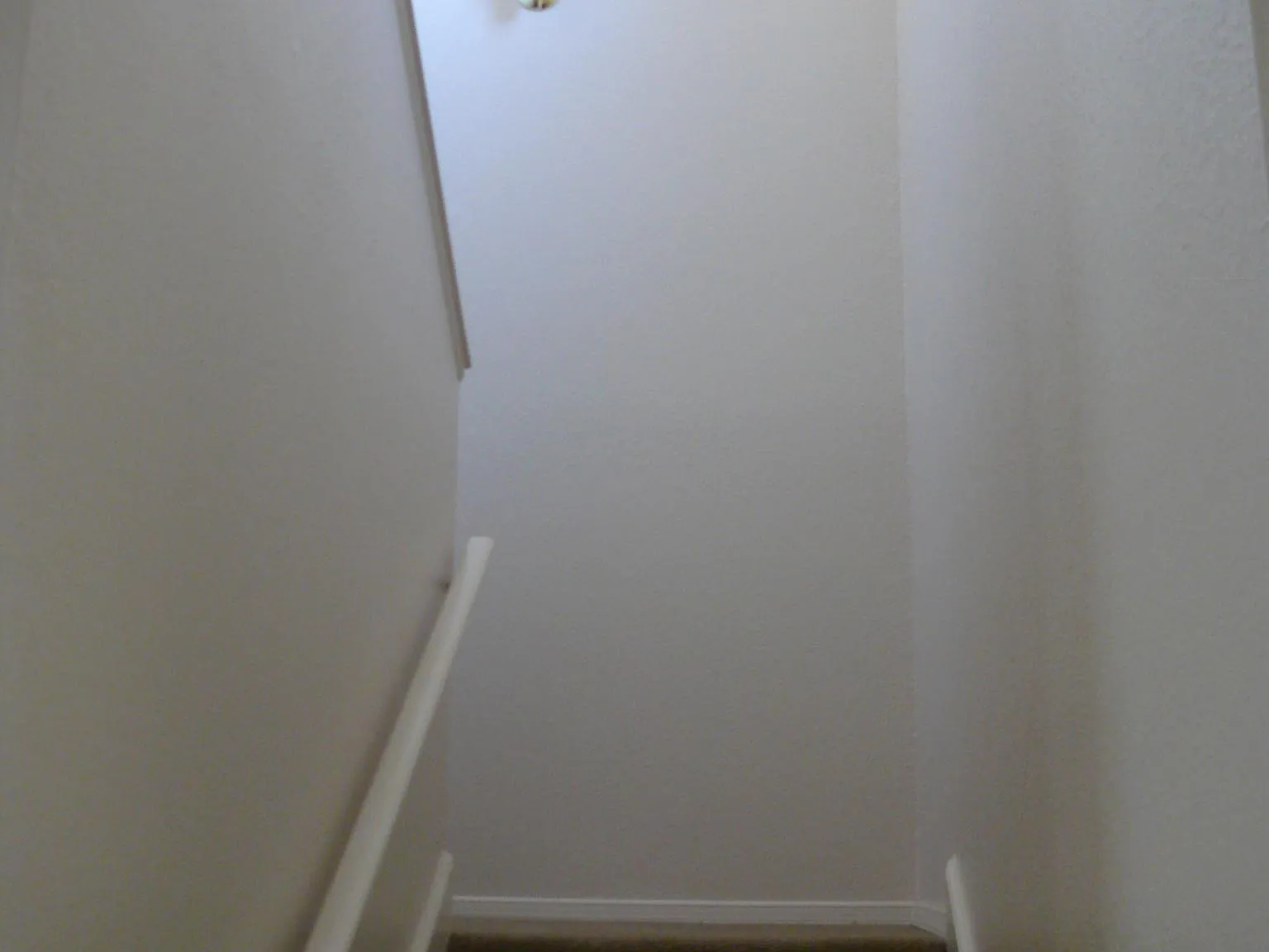 2 bed, 1.5 bath, 1200 sqft, $1,250 — Photo 3