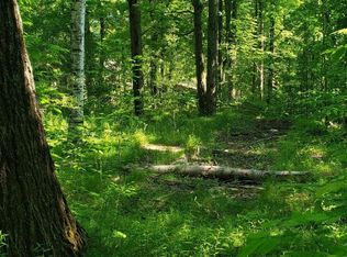 7237 Nineteen Mile Rd, Barryton, MI 49305