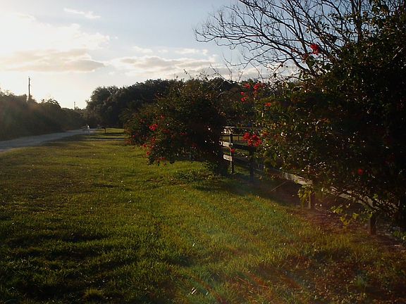 Beautifully landscaped