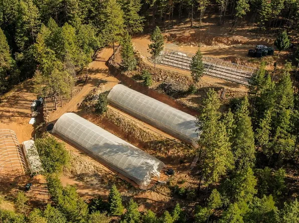 750 Vitzthum Gulch Rd, Douglas City, CA 96024