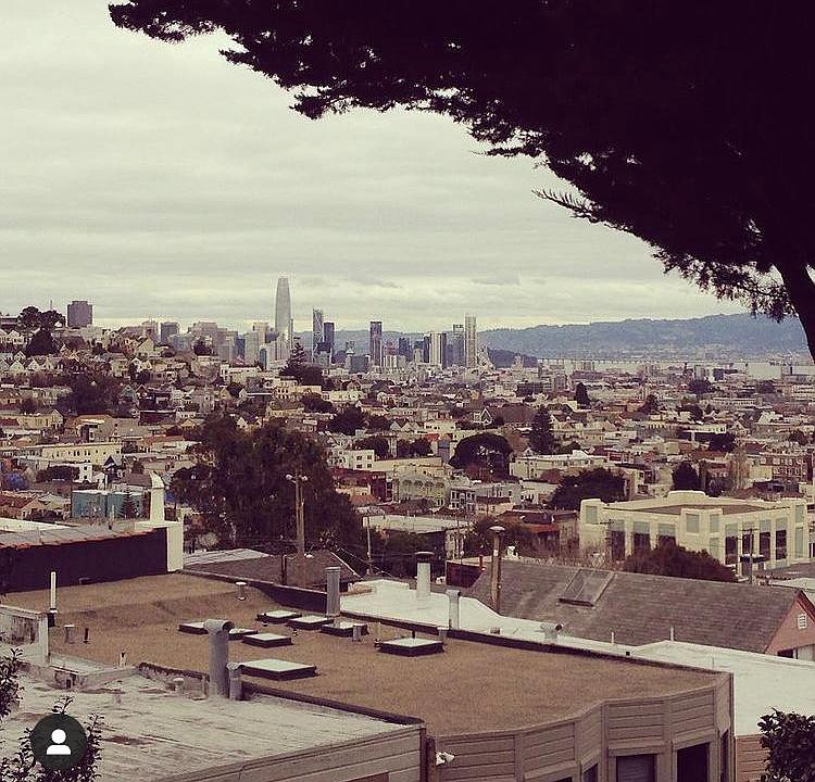 View from the deck when sitting and enjoying morning coffee or a meal on a sunny Noe Valley day.