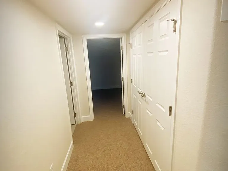 4556 Horse Tooth Rd — Photo 19