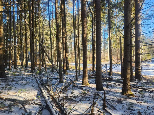 1 Pickerel Dr, Lac Du Flambeau, WI 54538