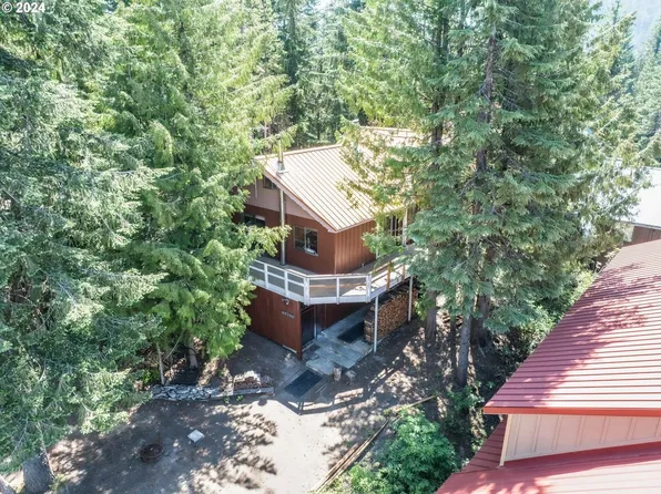 89116 E Little Trl, Government Camp, OR 97028