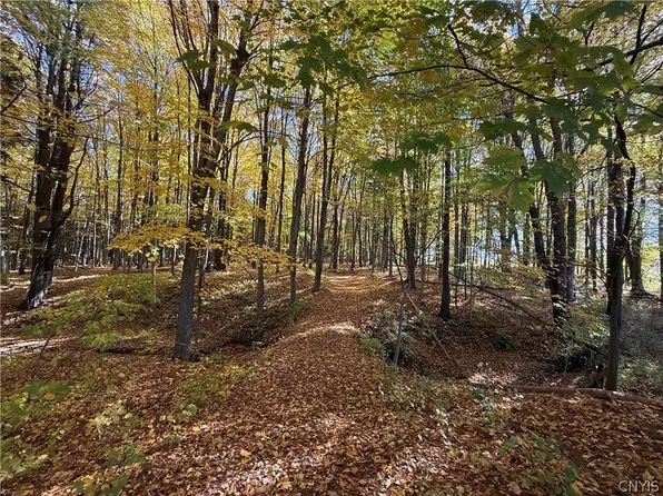 700 County Route 22a Lot 1, Sandy Creek, NY 13145