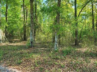 Vacant Se Coolidge Trl, Lee, FL 32059