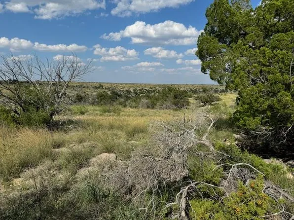 Deer Run Rd #88, Ozona, TX 76943