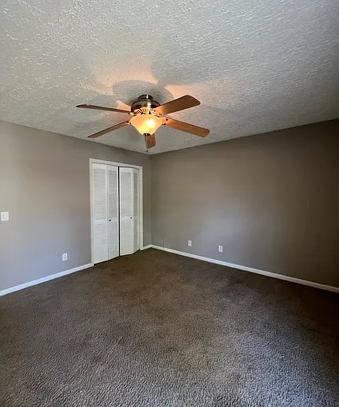 86 Azalea Dr — Photo 5