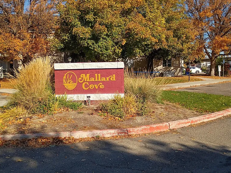 Mallard Cove Apartments — Photo 7