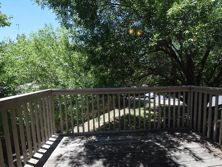 10811 Lanshire Dr — Photo 22