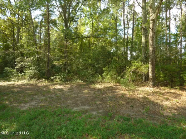 Adron Boyd Rd, Tylertown, MS 39667