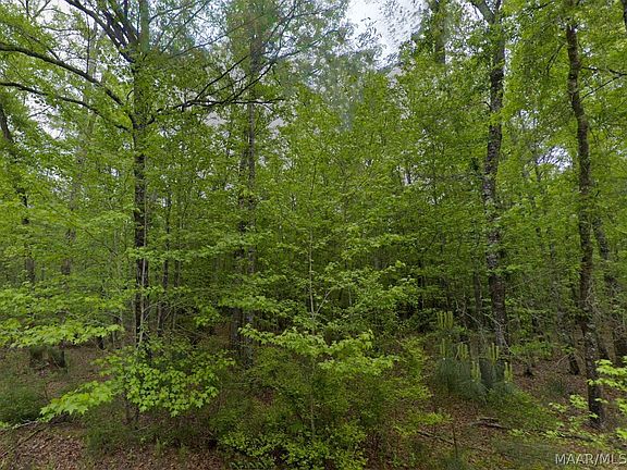 5th image of 0 Pine Grove Rd