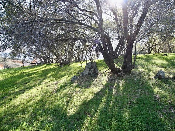 4th image of 819 Live Oak Dr #158