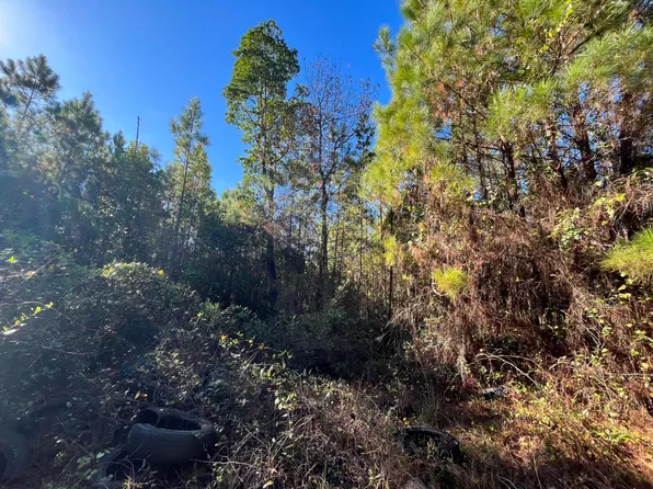 223 Mourning Dove Road, Satsuma, FL 32189