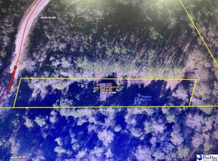 1896 Mill Branch Rd, Pamplico, SC 29583