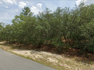 11357 N Condor Dr, Citrus Springs, FL 34433