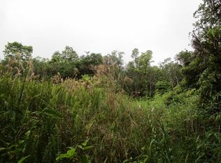 Thorne St, Mountain View, HI 96771