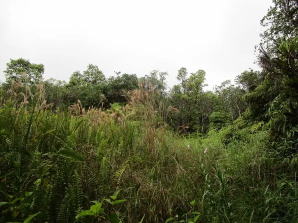 Thorne St Lot 14, Mountain View, HI 96771