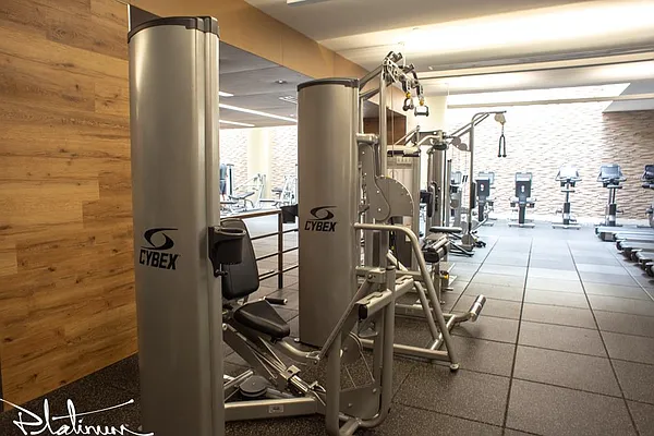 Rented by Platinum Properties | media 9