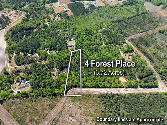 5th image of 4 Forest Pl
