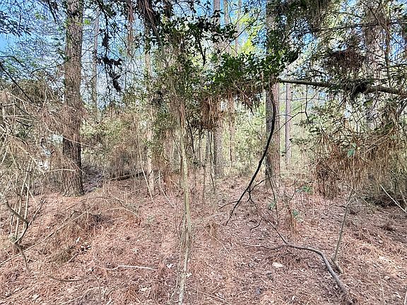 2nd image of 902 Bowline Dr