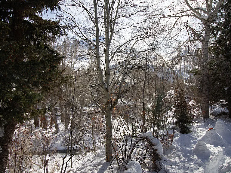 1424 Cottonwood Condominium Dr — Photo 11