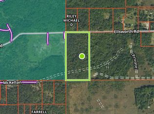 Ellsworth Rd, Lewiston, MI 49756