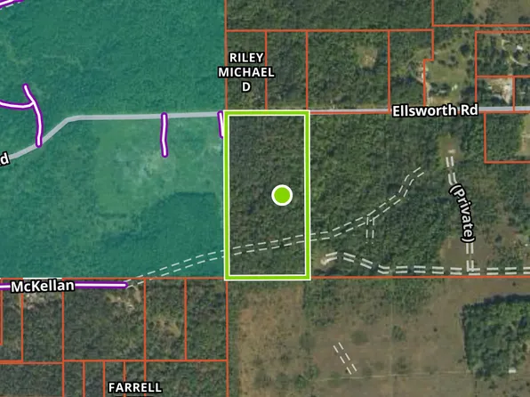 Ellsworth Rd, Lewiston, MI 49756