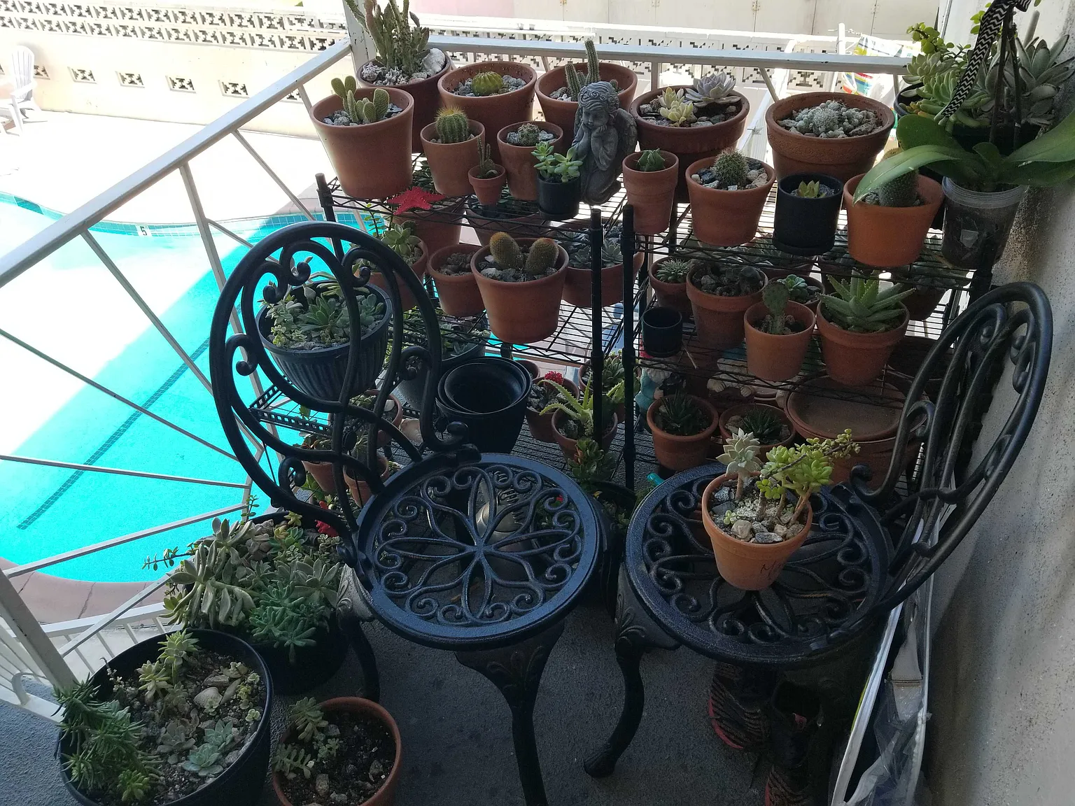 1 bed, $1,750 — Photo 4