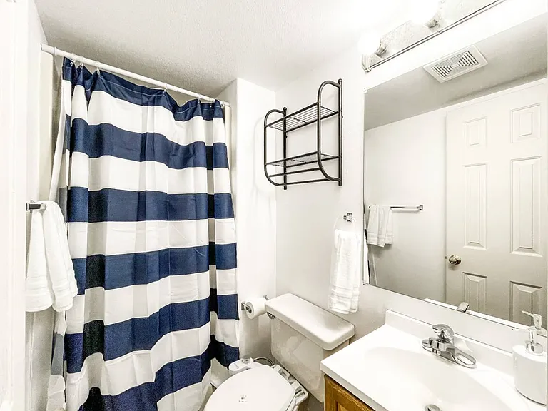 Lower Level Bath
