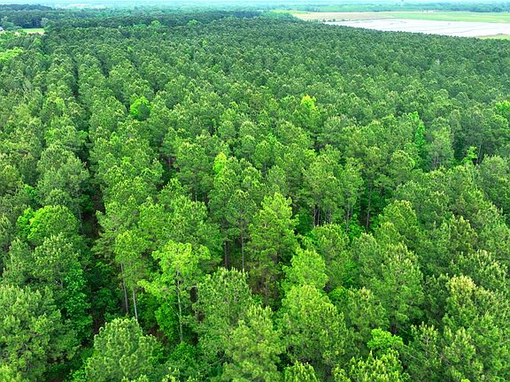 3rd image of 0 Warren Camp Rd
