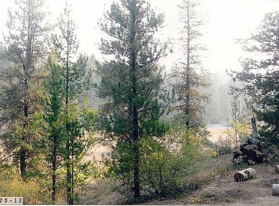 2nd image of 21 Meadow Creek Dr