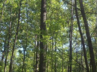 4734 Comstock Trl, Lewiston, MI 49756