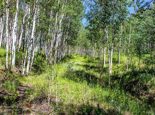 9615 Highway 119, Black Hawk, CO 80422